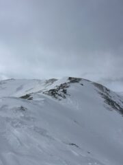Cresta un po' pelata