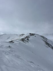 Cresta un po' pelata