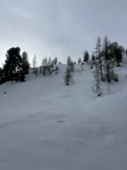 Curvette nel bosco