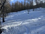 scelta vincente