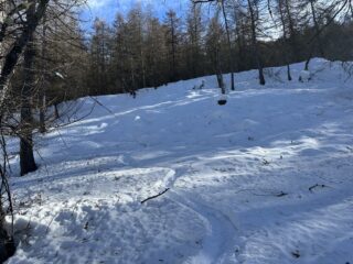 scelta vincente