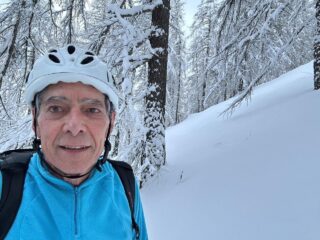 Nel bosco parte bassa