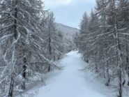 Inizio delle vecchie piste