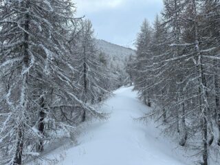 Inizio delle vecchie piste