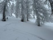 Neve della prima discesa