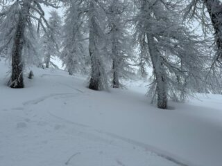 Neve della prima discesa
