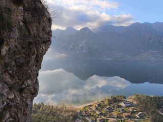 Ginestre e panorama