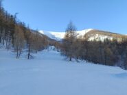 La meta dal mezzacosta nel bosco sopra il Vallone di Upega 