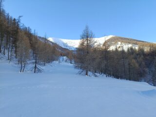 La meta dal mezzacosta nel bosco sopra il Vallone di Upega 