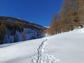 Salita verso il Colle del Vescovo 