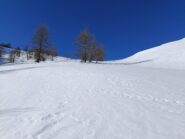 Quasi al Colle del Vescovo su neve intonsa