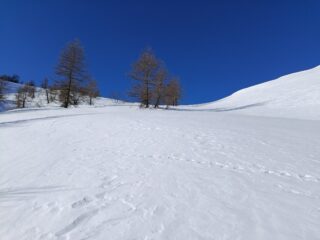 Quasi al Colle del Vescovo su neve intonsa