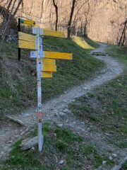 Alla partenza 