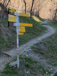 Alla partenza 