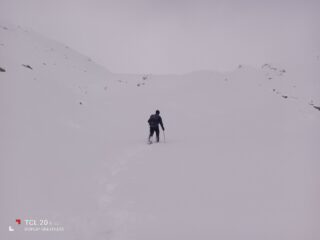 Bianco...