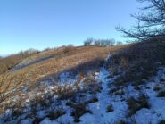 Salita al Monte Alpe Ovest 