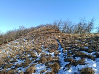 Salita al Monte Alpe Est 