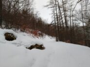 La strada che porta a Borgata Tiriera o Tiriero