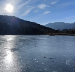 Oplus_131074