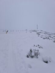 Quasi in cima