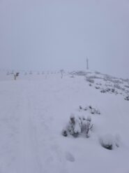 Quasi in cima