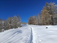 Sul costone per il Pian del Manzo 