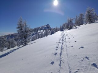 Verso la Cima Missun 