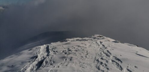 Nebbia in arrivo
