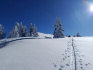 Parte superiore su traccia 