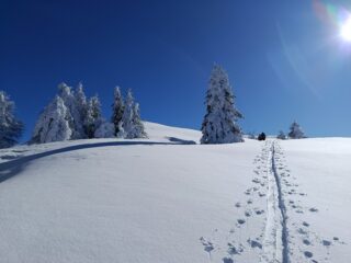 Parte superiore su traccia 