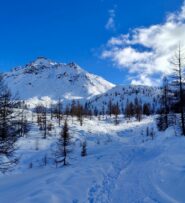 Oplus_19005472
