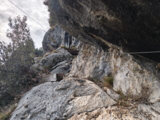 Ferratina