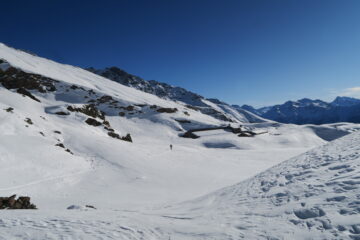 alpe Bonalex