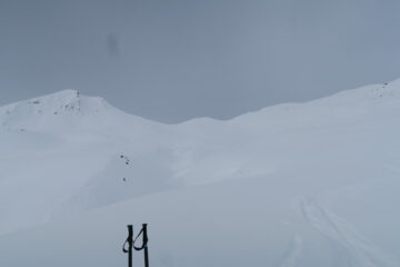 dopo la gran bella discesa lato Vertosan ora bisogna risalire al Col Fetita