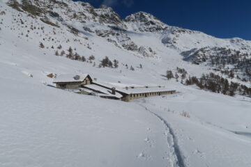 alpe di Cenevé