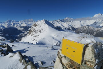 la cima