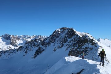 Testa alta del Lausfer