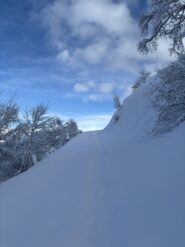 Sulla strada verso l’alpe Malacria