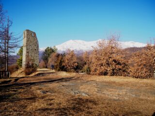 Torre Cives