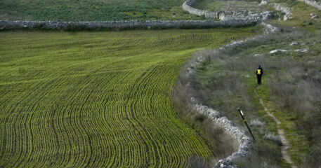 Verso Gravina