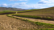 Verso Matera
