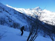 Ingresso nel bosco per breve tratto