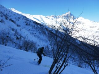Ingresso nel bosco per breve tratto