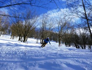 Degna conclusionme nel bosco...