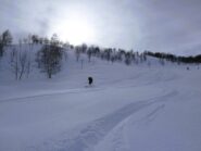 Sulle radure prima del bosco fitto