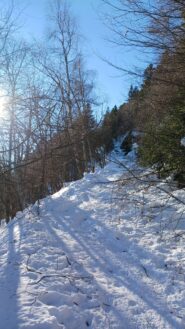 Poderale verso il rifugio savona