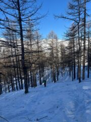 -15 in partenza