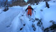 Avvicinamento in neve alta nella boschina...
