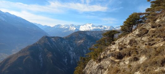 Cime del gruppo d'Ambin