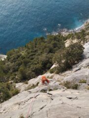 la bella placca finale